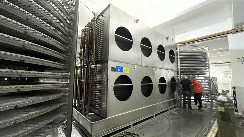 ˫�����ٶ�����